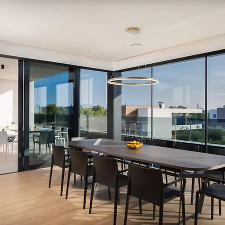 Villa Old Olive V Vodnjan